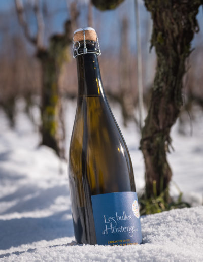 Les bulles d'Hortense : le Crémant de Savoie du Domaine Saint-Germain produit au Château de Menjoud