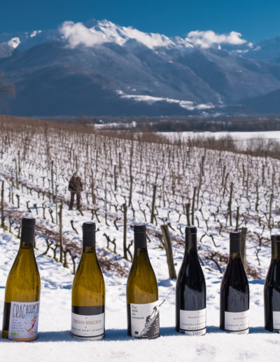 Domaine Saint-Germain : une partie de la gamme de vins bio en Savoie